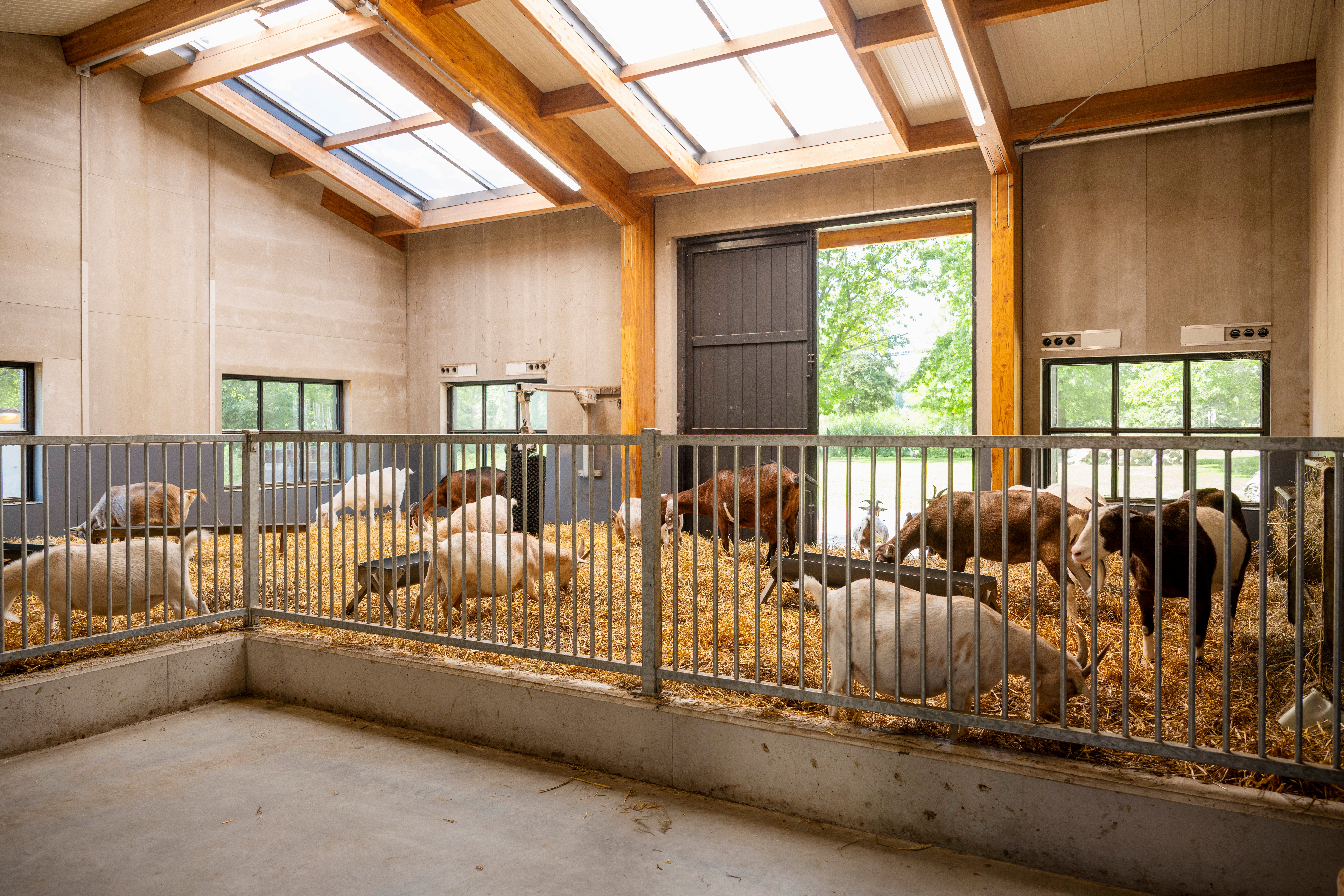 © STUDIO STERKENBURG DAVELAAR DSC4639
