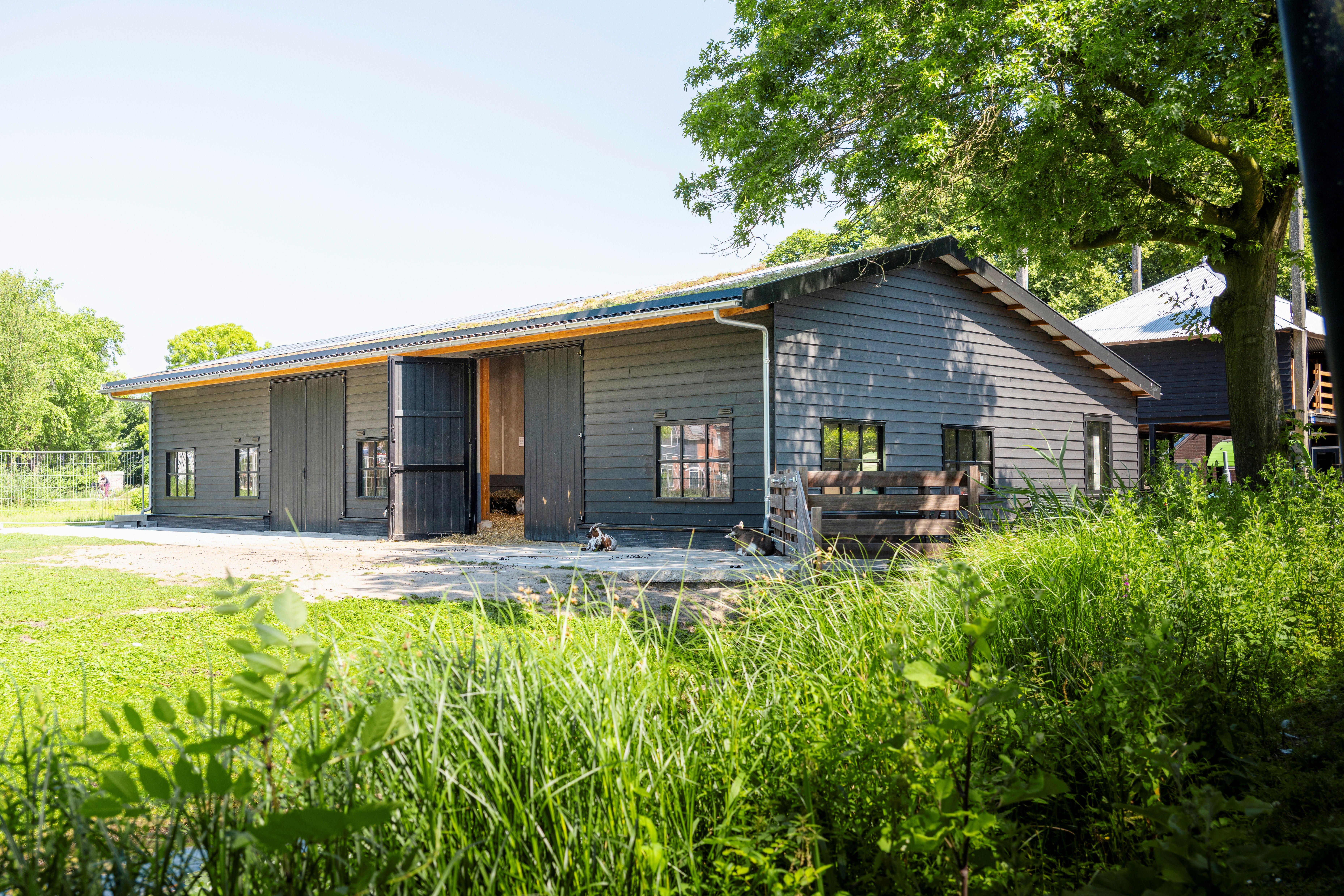 © STUDIO STERKENBURG DAVELAAR DSC4650